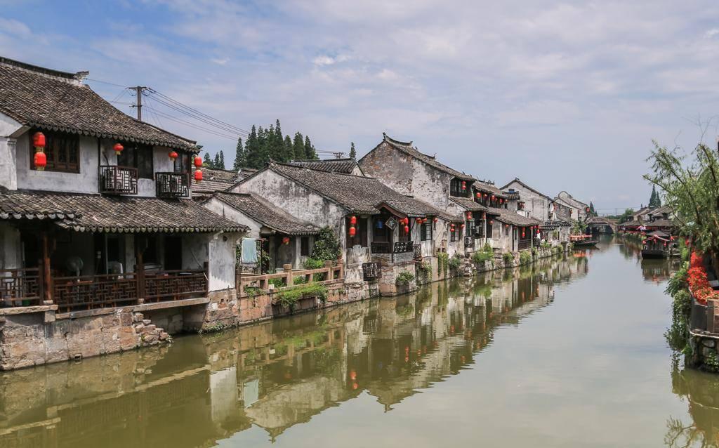 拯救枯树